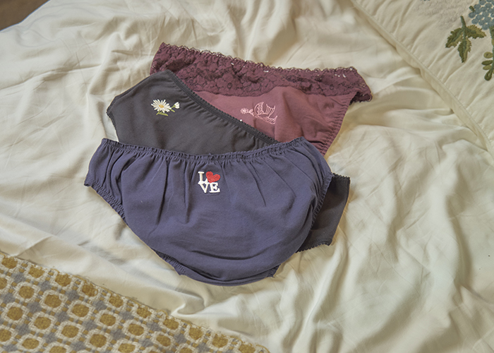 ANDEN HUD The Best Intimates Brand Online A pair of AH panties is