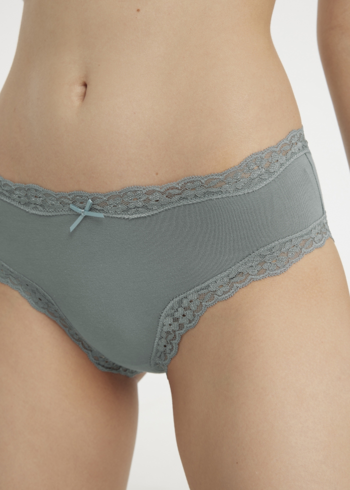 Hygiene Series．Mid Rise Cotton Lace Trim Hipster Panty(Brushed Nickel)
