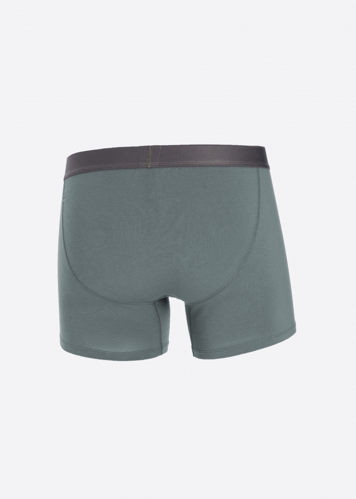 Road Trip．Men Boxer Brief Underwear(Blue)