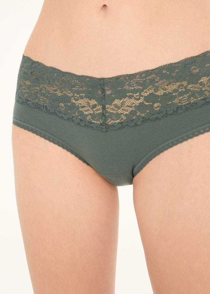 Hygiene Series．Mid Rise Cotton V Lace Waist Brief Panty(Stormy Weather)