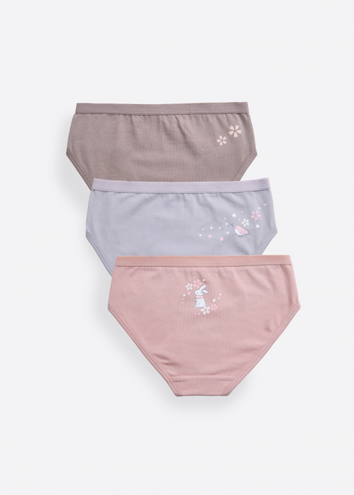 3-Pack) Hygiene Series．Girls Ruffled Brief Panty(Pink Dessert