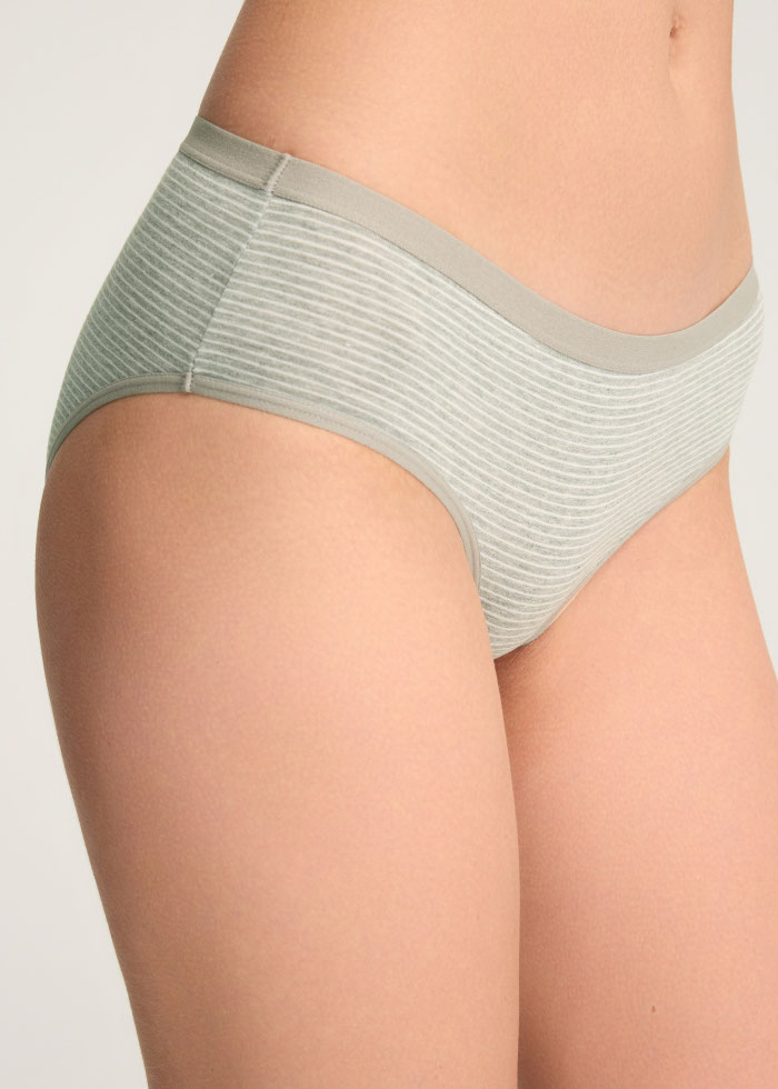 Zoophilist．Mid Rise Cotton Brief Panty（Stripe Pattern）