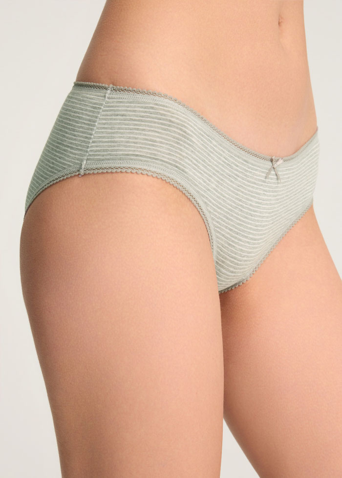 Zoophilist．Low Rise Cotton Picot Elastic Brief Panty（Stripe Pattern）