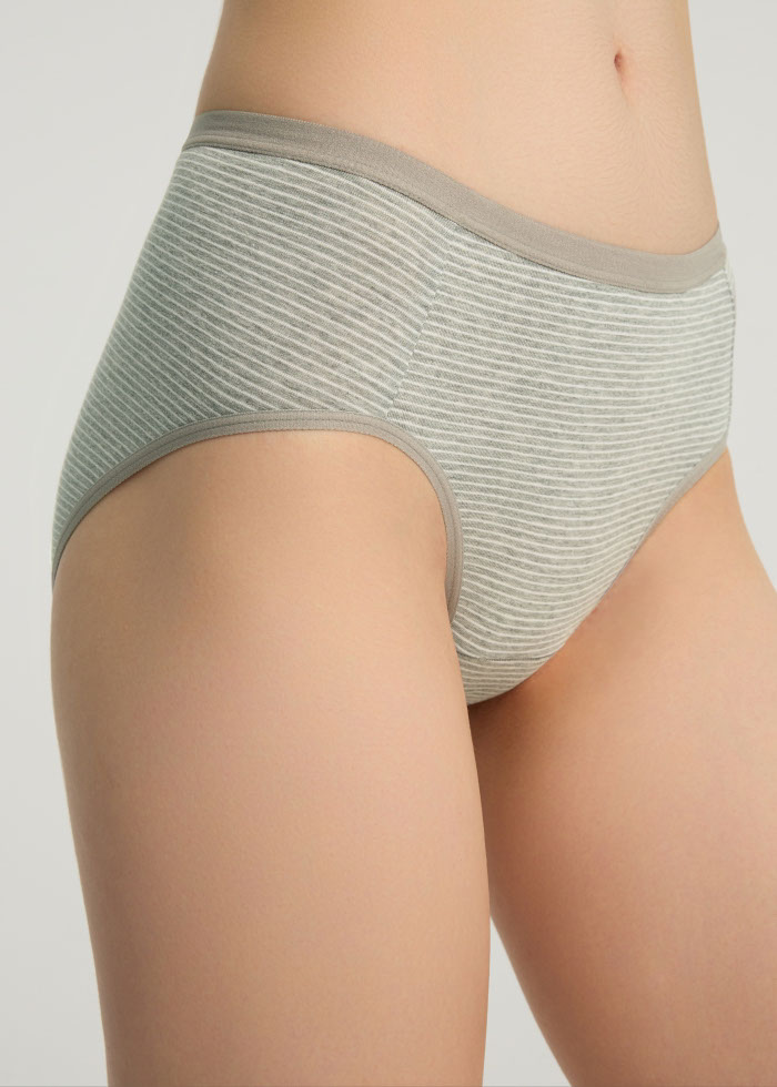 XXL Zoophilist．Mid Rise Cotton Brief Panty（Stripe Pattern）