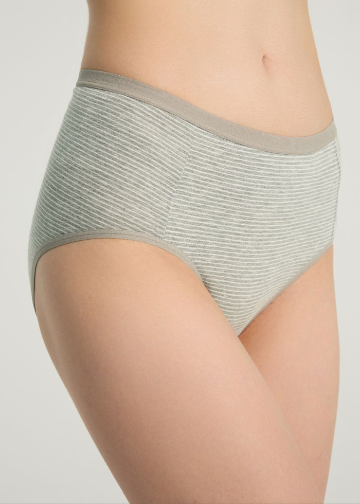 Zoophilist．High Rise Cotton Brief Panty（Stripe Pattern）