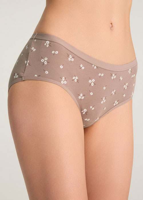 Daily Routine．High Rise Cotton Brief Panty（Flower Pattern）