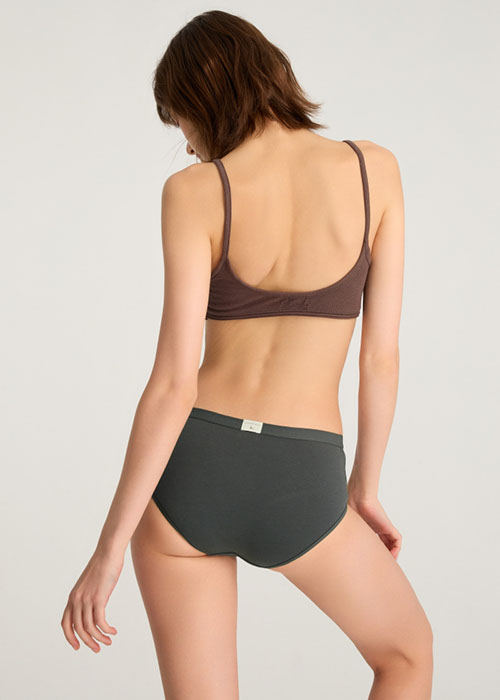 Every Day．High Rise Cotton Brief Panty（Urban Chic）