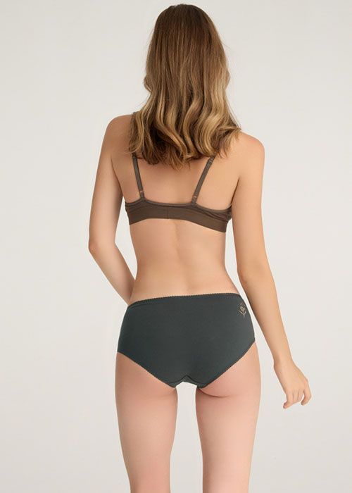 XXL Daily Routine．High Rise Cotton Picot Elastic Brief Panty（Urban Chic）