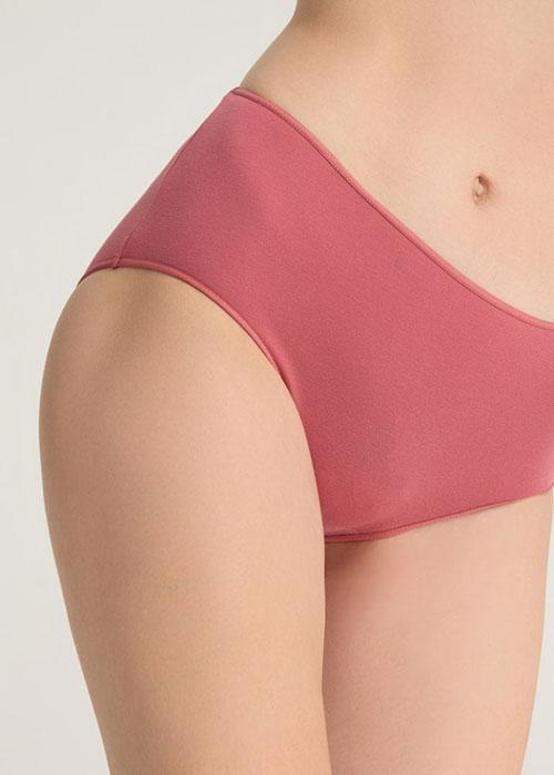 XXL Every Day．High Rise Cotton Flat Elastic Brief Panty（Claret Red）