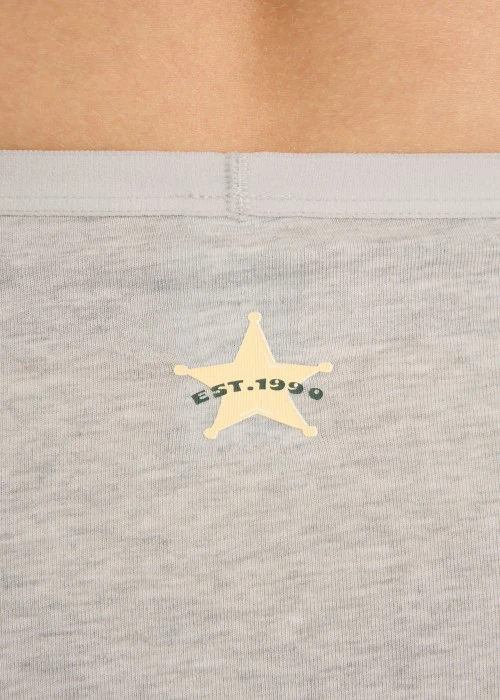 XXL 秋日呢喃．高腰三角內褲（淺麻灰-1990）