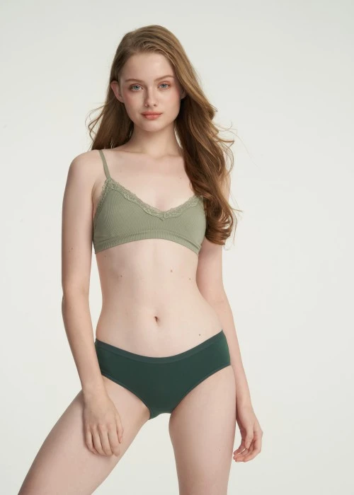 Classic．Mid Rise Cotton Brief Panty(Green Gables)