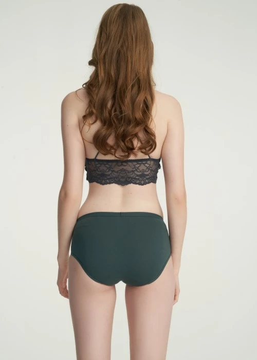 Classic．Mid Rise Cotton Brief Panty(Green Gables)