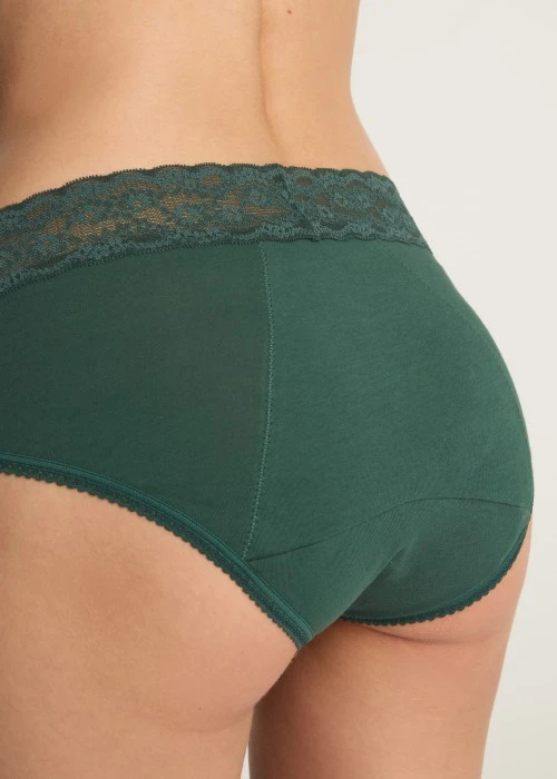 Classic．High Rise Cotton Lace Waist Period Brief Panty(Pine Grove)