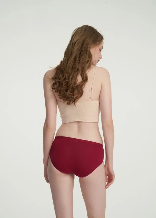 Classic．Low Rise Cotton Brief Panty(Red Dahlia)
