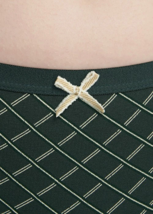 Whispers of Autumn．Mid Rise Cotton Crossed Back Brief Panty(Vintage Tilt)