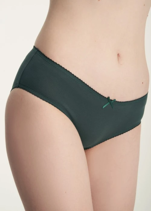 Classic．Mid Rise Cotton Picot Elastic Brief Panty（Green Gables）
