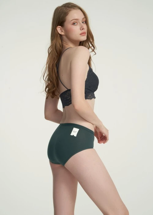 Timeless Elegance．Mid Rise Cotton Brief Panty（Green Gables）