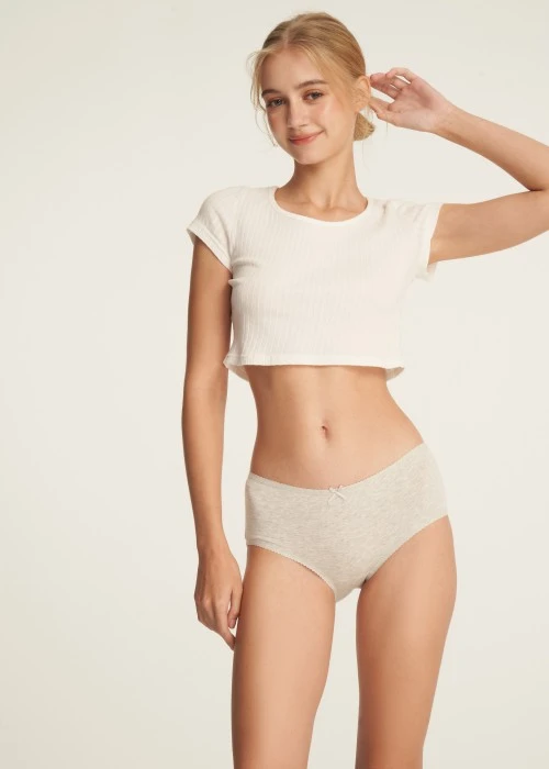 抗菌系列．花邊高腰三角內褲(淺麻灰-刺繡楓葉彩虹)