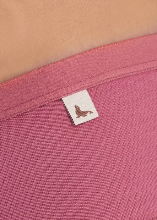 Diary of Soft Light．Mid Rise Cotton Brief Panty(Cloud Gray)