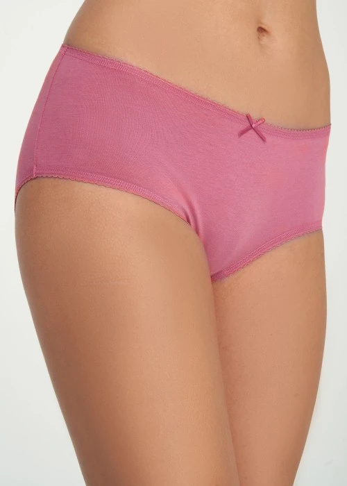 Classic．High Rise Cotton Picot Elastic Brief Panty(Rapture Rose)