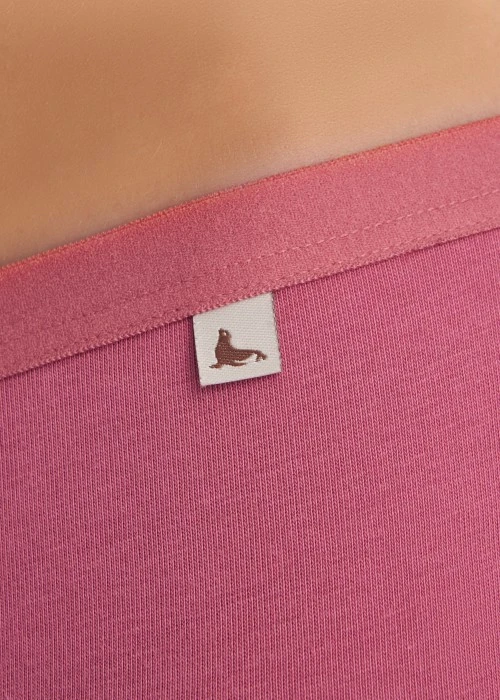 XXL 微光日記．緊帶高腰三角內褲(藕紫-海狗夾標)