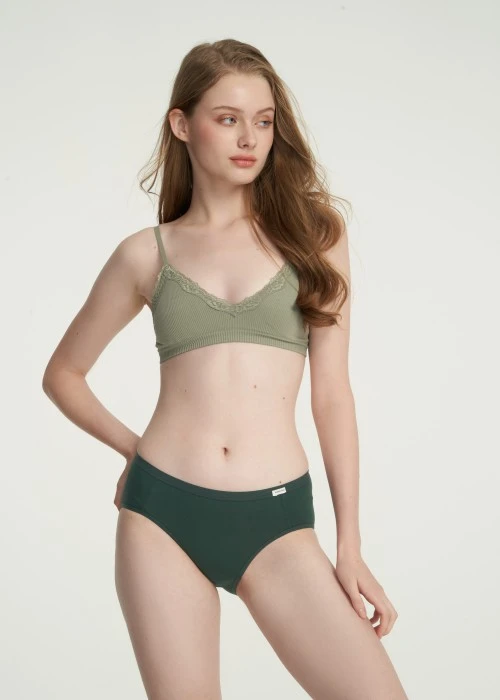 Classic．Mid Rise Cotton Brief Panty(Green Gables)