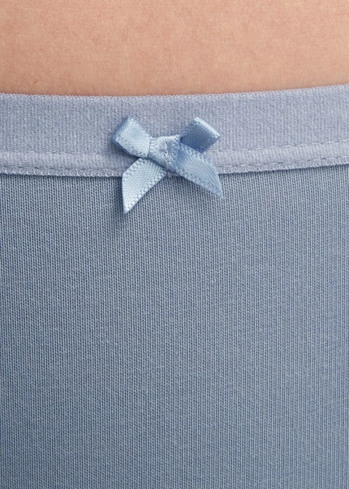 Classic．Low Rise Cotton Crossed Back Brief Panty（Dusty Blue）