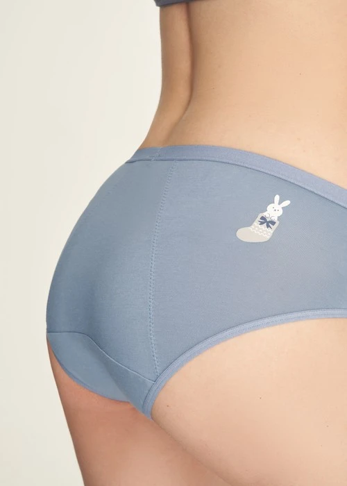 Sirius．Mid Rise Cotton Period Brief Panty（Dusty Blue）