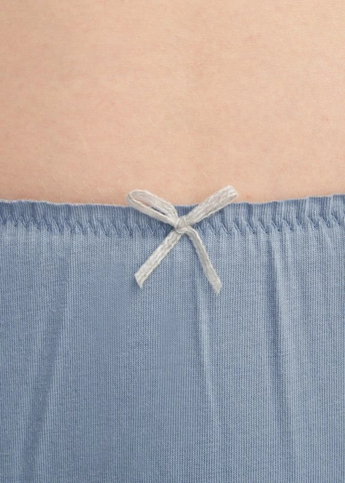 Hygiene Series．Mid Rise Cotton Ruffled Brief Panty（Dusty Blue）