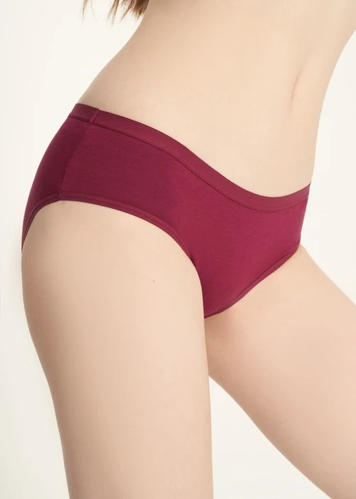 Classic．Mid Rise Cotton Brief Panty(Fig)