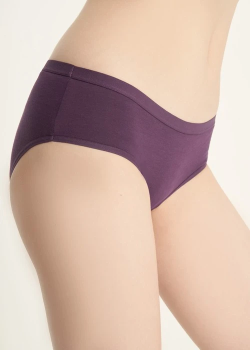 Classic．Mid Rise Cotton Brief Panty（Fig）