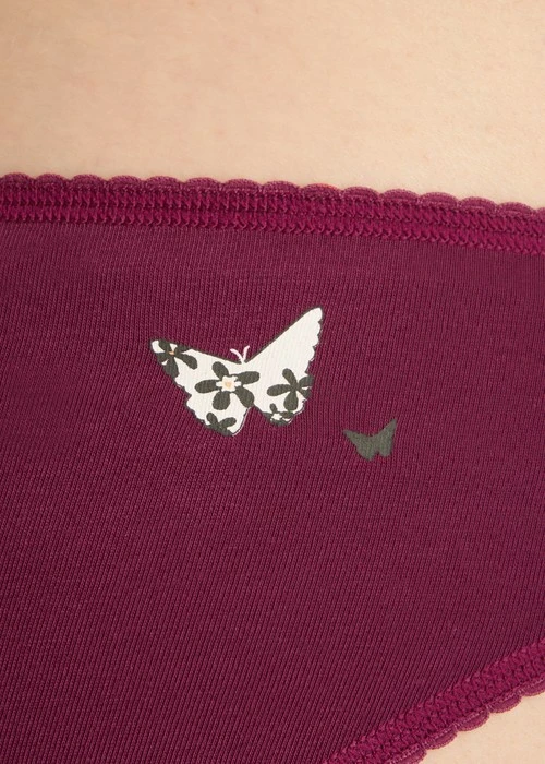 心願．花邊低腰三角內褲(黑栗紫-柿柿如意)