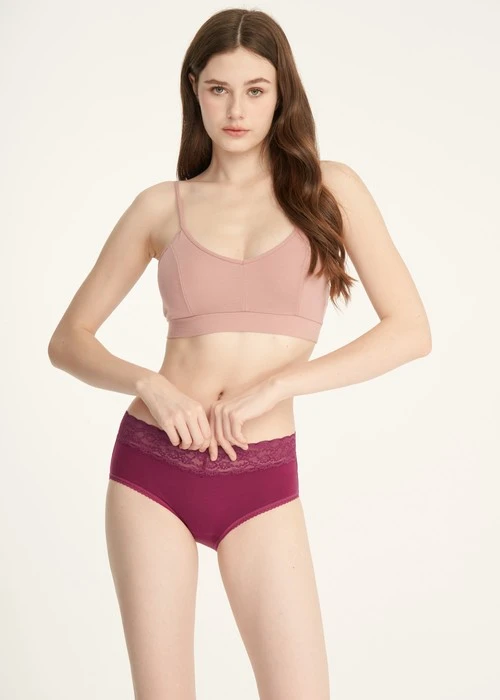Classic．High Rise Cotton V Lace Waist Brief Panty（Blessing Red）