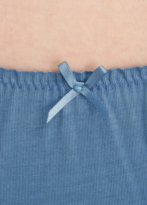 Hygiene Series．Mid Rise Cotton Ruffled Brief Panty（Blue Shadow）