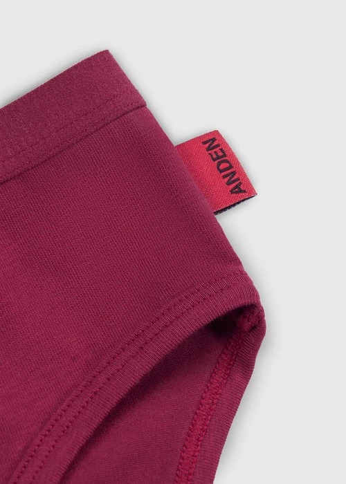 女童三入組_ 抗菌系列．緊帶三角內褲(可愛牛仔)