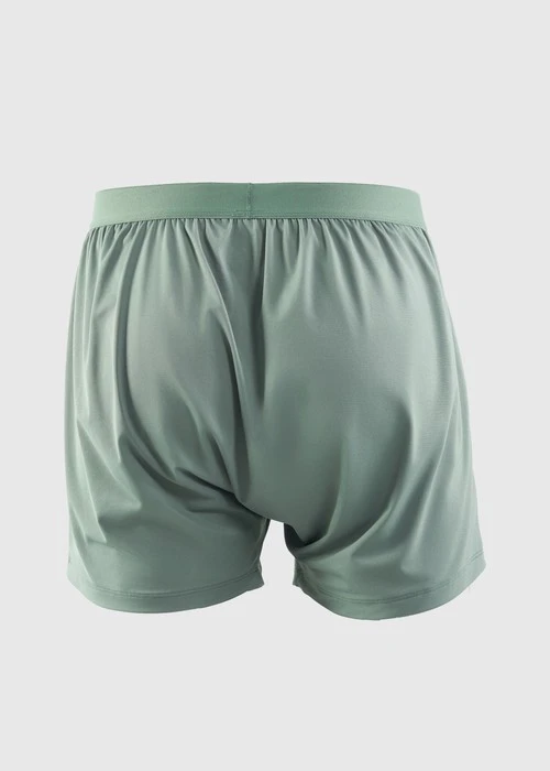 男款_吸濕排汗機能系列．不開襟寬鬆腰帶四角內褲(灰霧綠-海狗夾標)