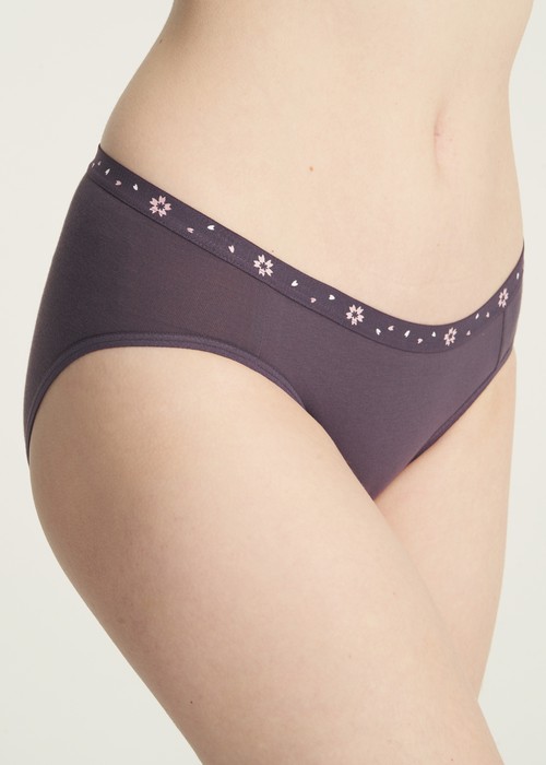 春日輕吻．低腰三角內褲(黛紫-櫻吹雪緊帶)