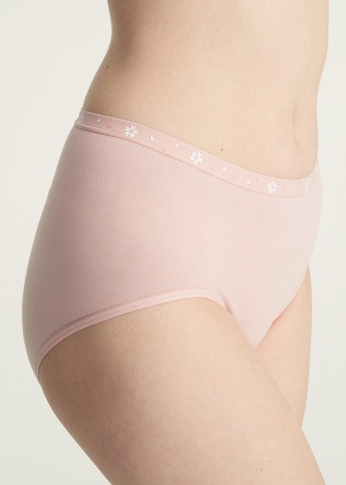 春日輕吻．高腰三角內褲(黛紫-櫻吹雪緊帶)