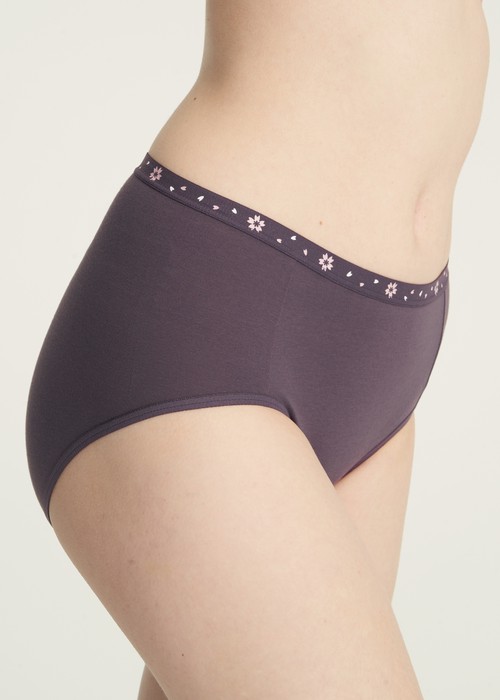 春日輕吻．高腰三角內褲(黛紫-櫻吹雪緊帶)