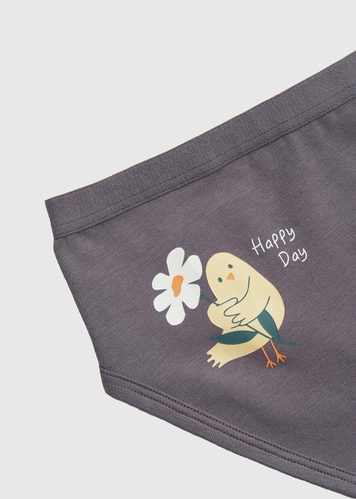 女童三入組_ 抗菌系列．緊帶三角內褲（療癒小雛菊）