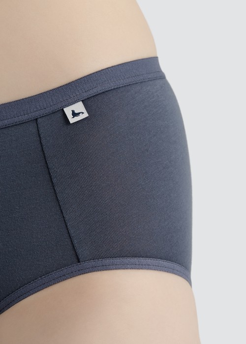 Celebration．High Rise Cotton Brief Panty（Folkstone Gray）