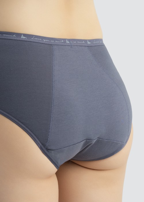 Special Day．High Rise Cotton Period Brief Panty（Folkstone Gray）
