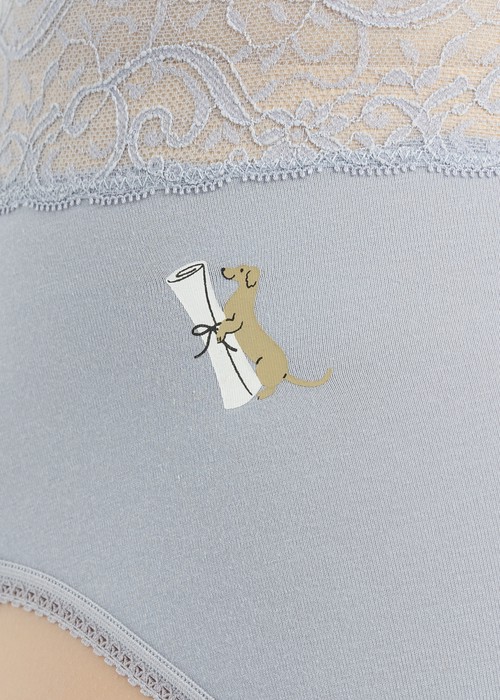 Anniversary．Ultra High Rise Cotton V Lace Waist Brief Panty（Moon Blue）